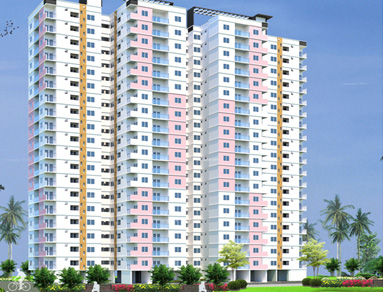 Super Hi-Income Group (SHIG) Housing at Chennai, Tamil Nadu